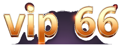 vip66 logo